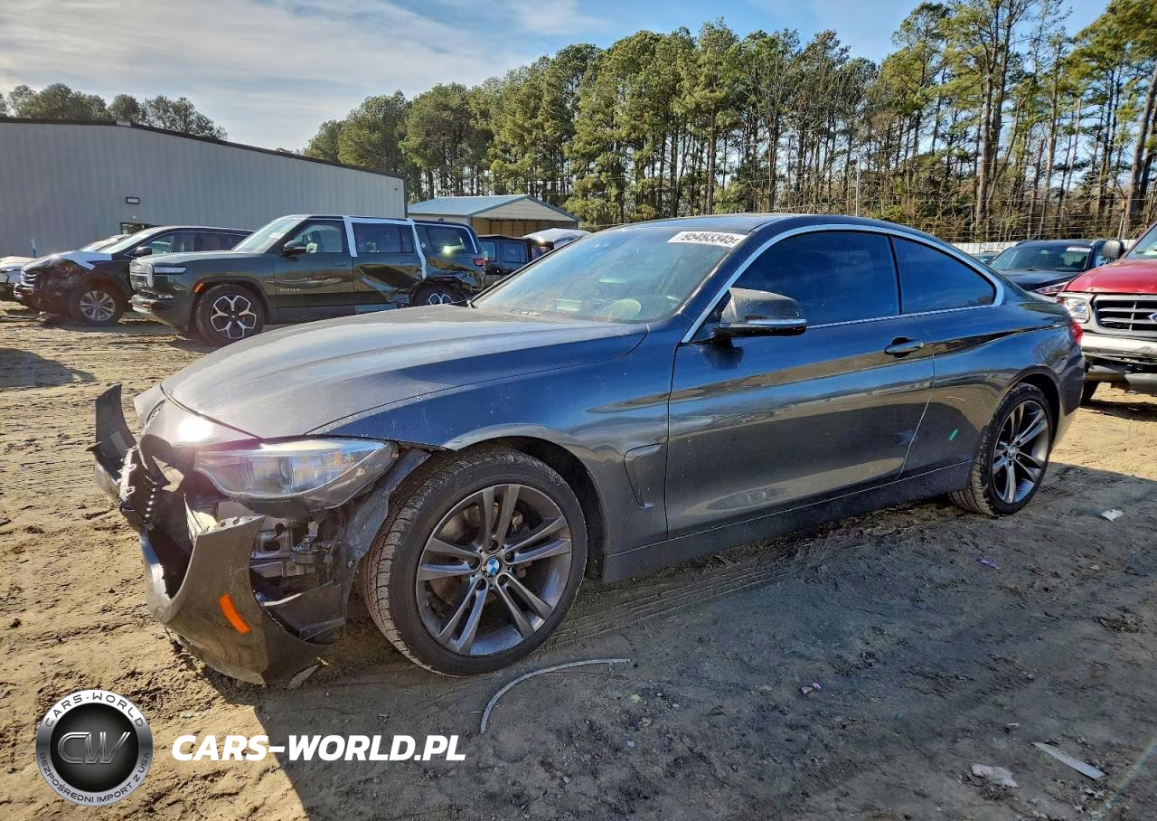 2016 BMW 428 Xi VIN:WBA3N9C54GK249505 - 1