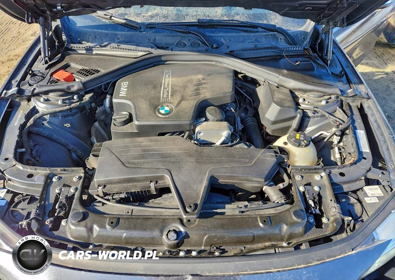 2016 BMW 428 Xi VIN:WBA3N9C54GK249505 - 11