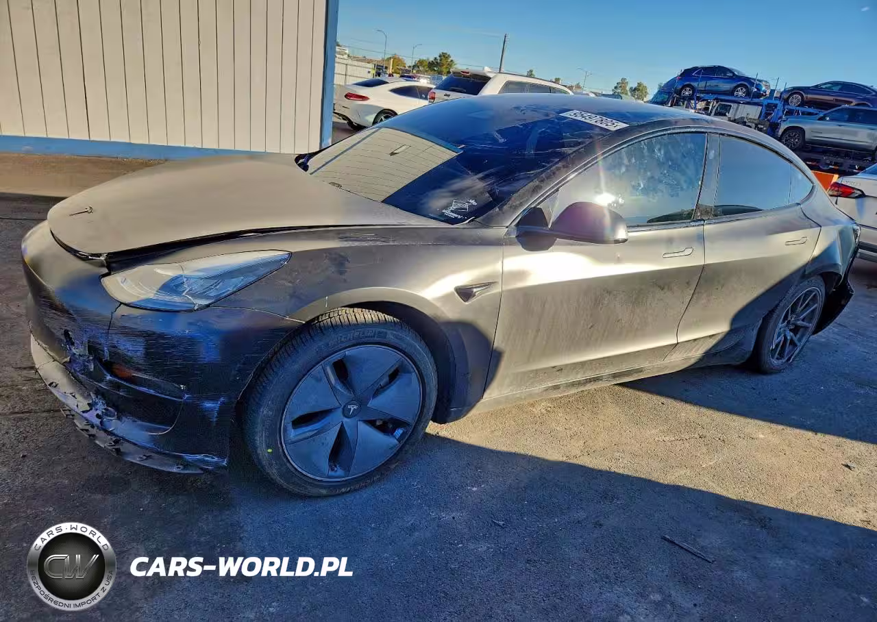 2019 Tesla Model 3