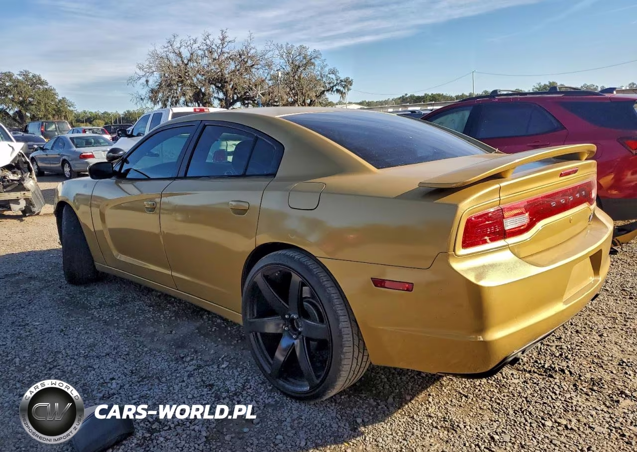 2014 Dodge Charger Police VIN:2C3CDXAT1EH259297 - 2