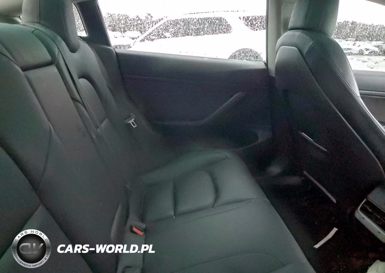 2020 Tesla Model 3 VIN:5YJ3E1EA5LF745287 - 10