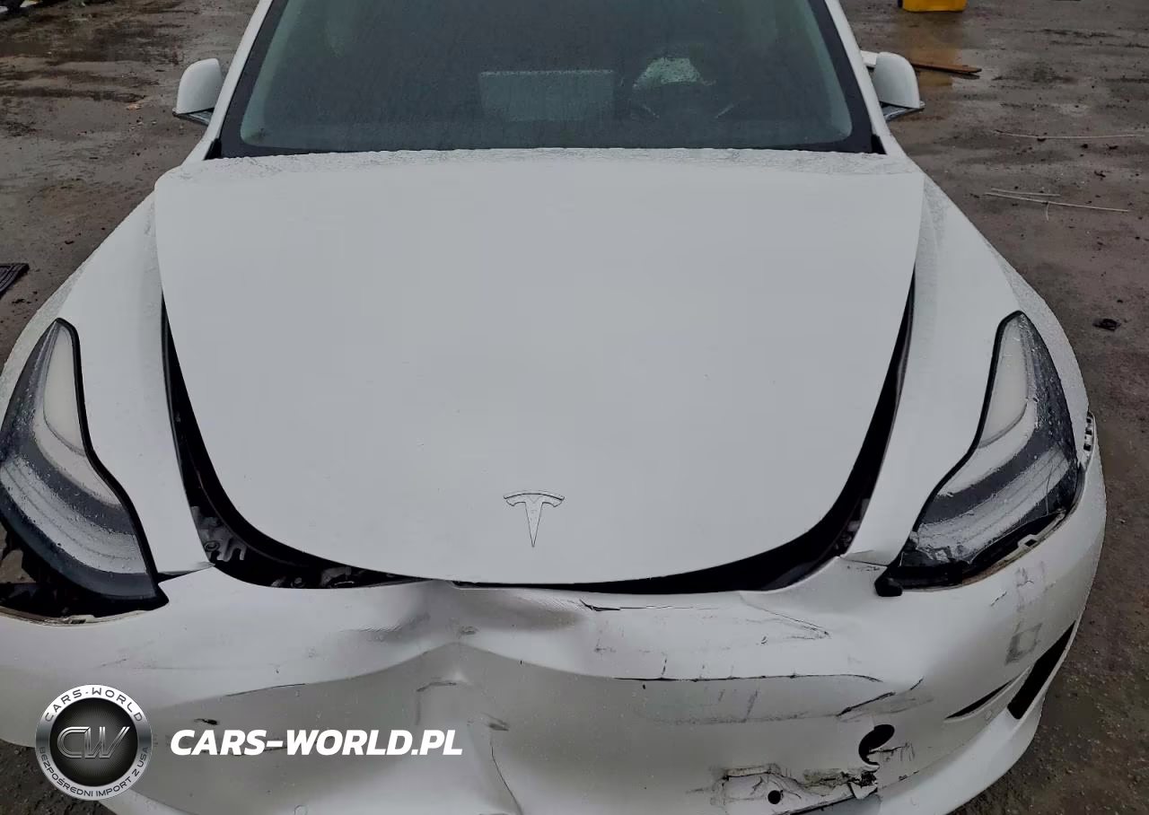 2020 Tesla Model 3 VIN:5YJ3E1EA5LF745287 - 11