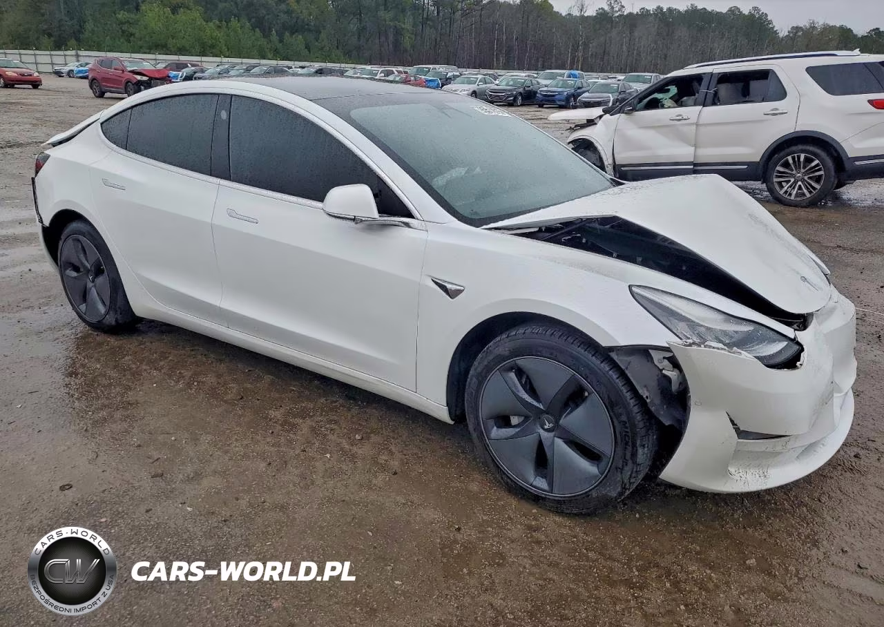 2020 Tesla Model 3 VIN:5YJ3E1EA5LF745287 - 4