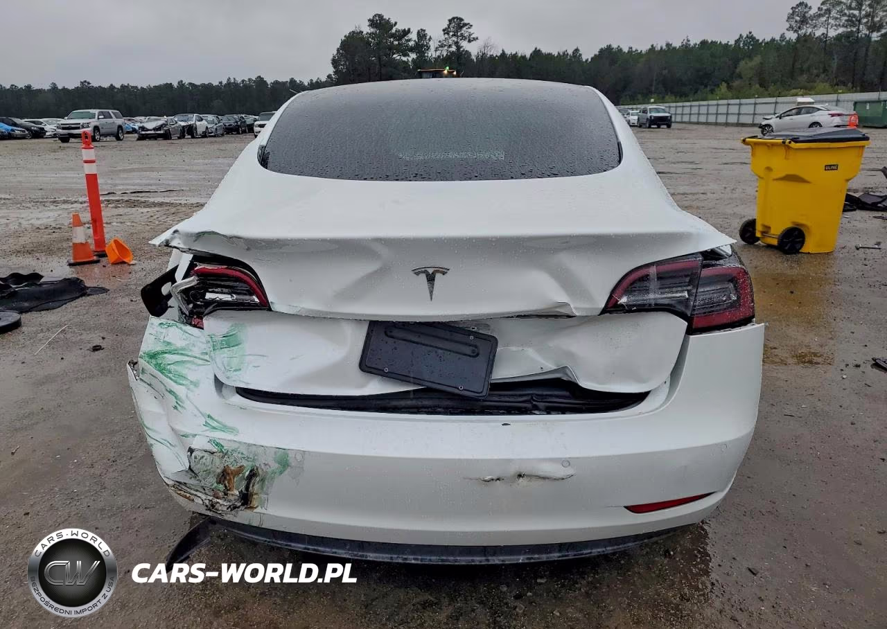 2020 Tesla Model 3 VIN:5YJ3E1EA5LF745287 - 6