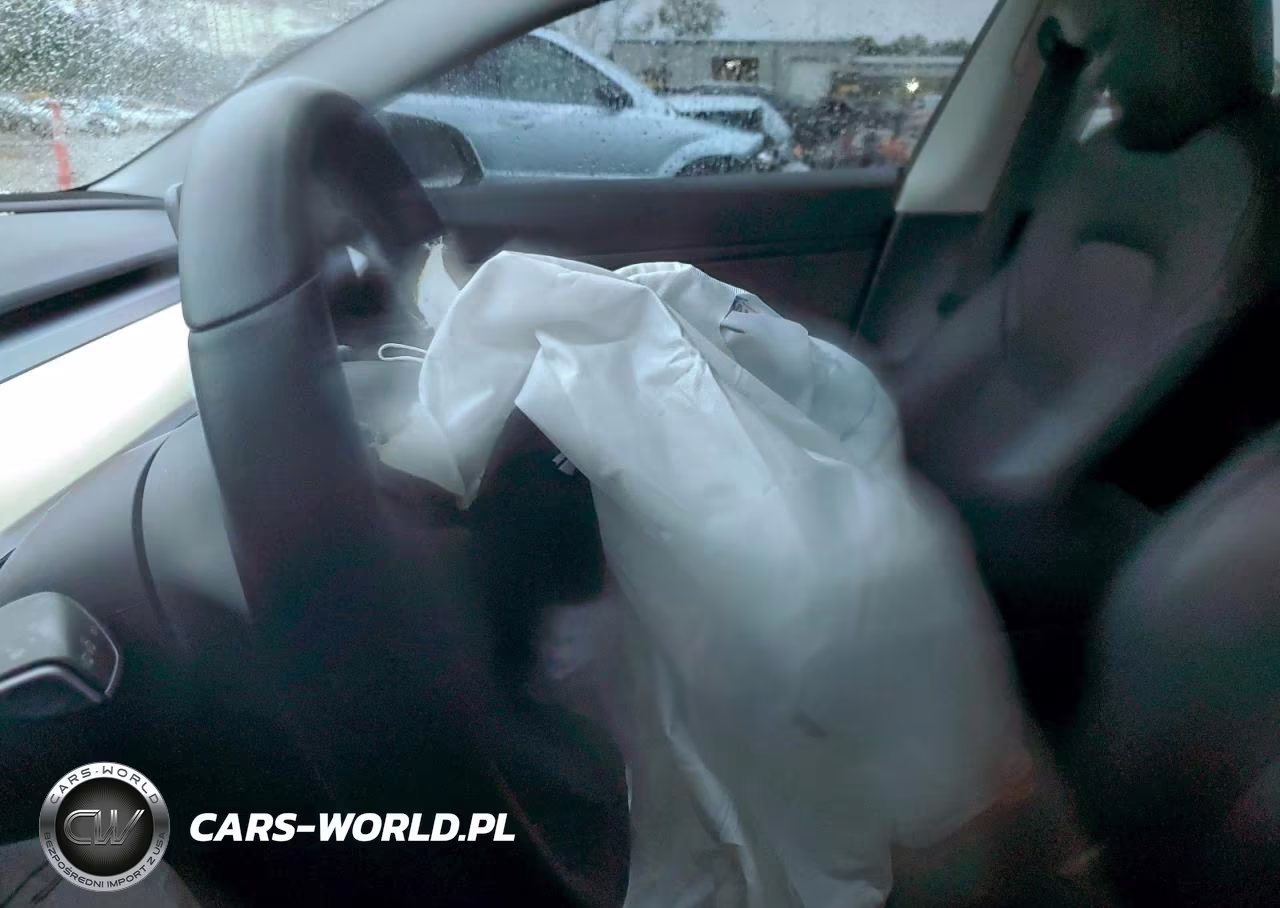 2020 Tesla Model 3 VIN:5YJ3E1EA5LF745287 - 9