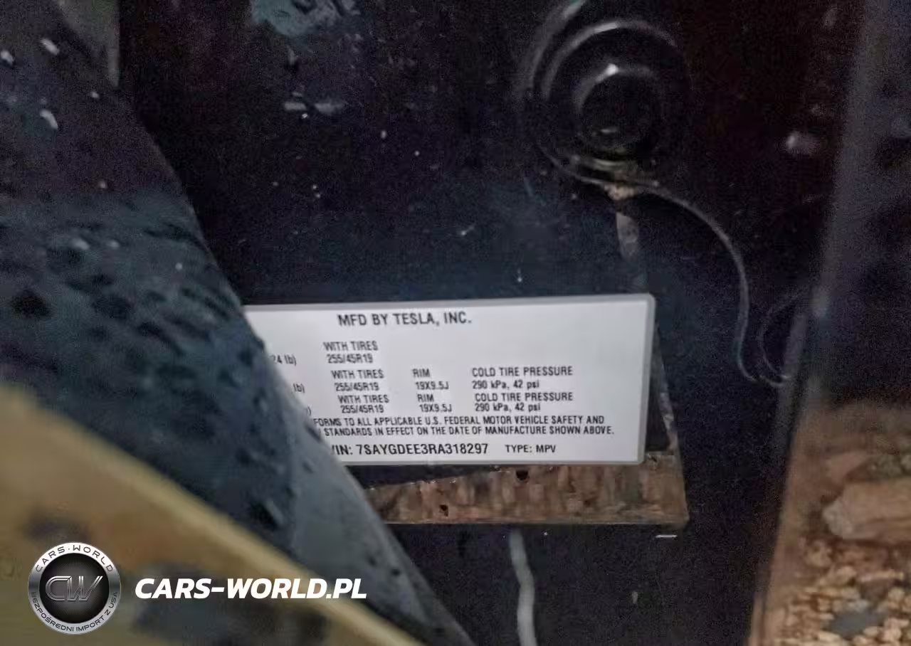 2024 Tesla Model Y VIN:7SAYGDEE3RA318297 - 14