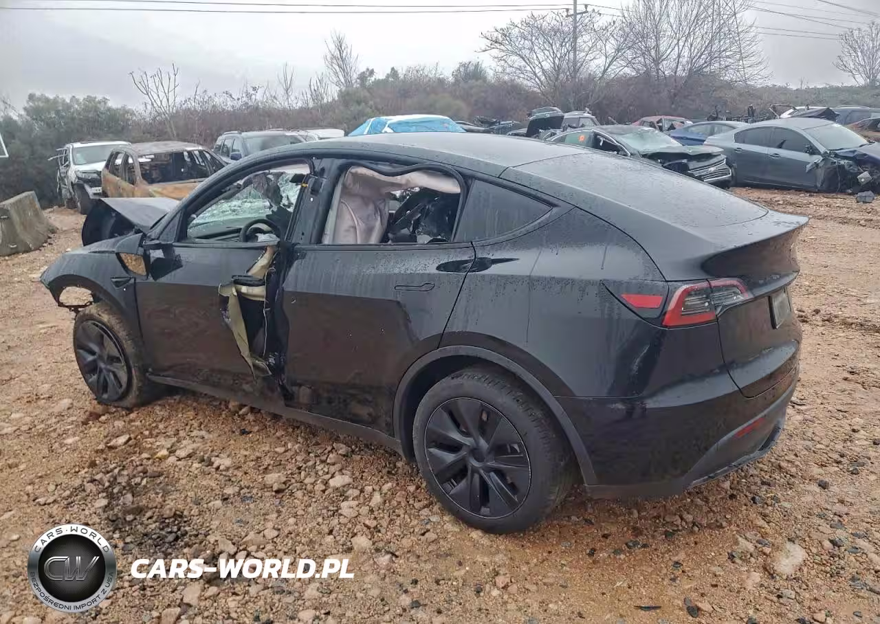 2024 Tesla Model Y VIN:7SAYGDEE3RA318297 - 2