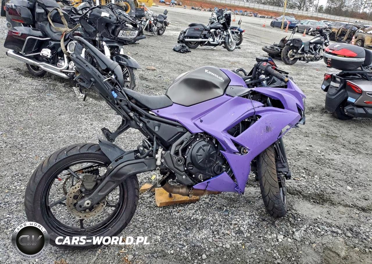 2024 Kawasaki Ex650