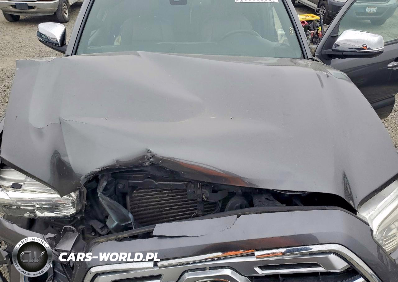 2019 Toyota Tacoma Double Cab VIN:3TMGZ5AN4KM232824 - 11