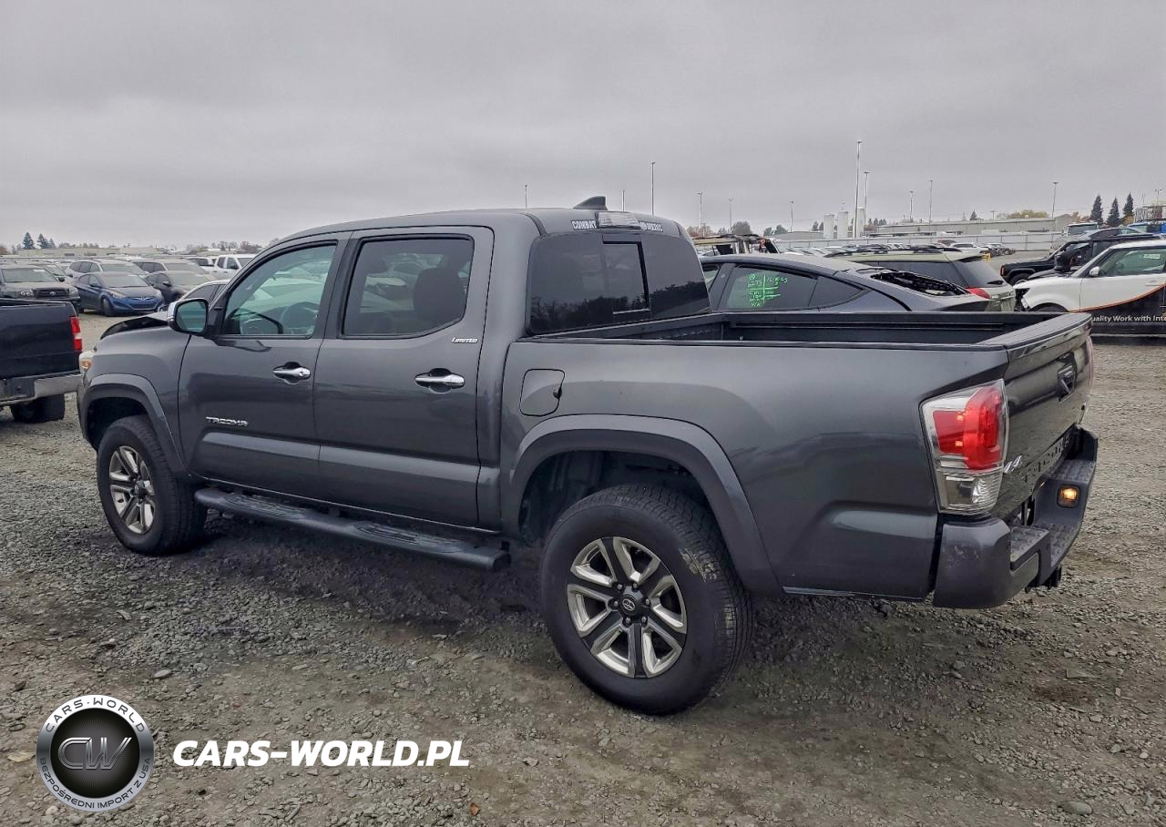 2019 Toyota Tacoma Double Cab VIN:3TMGZ5AN4KM232824 - 2