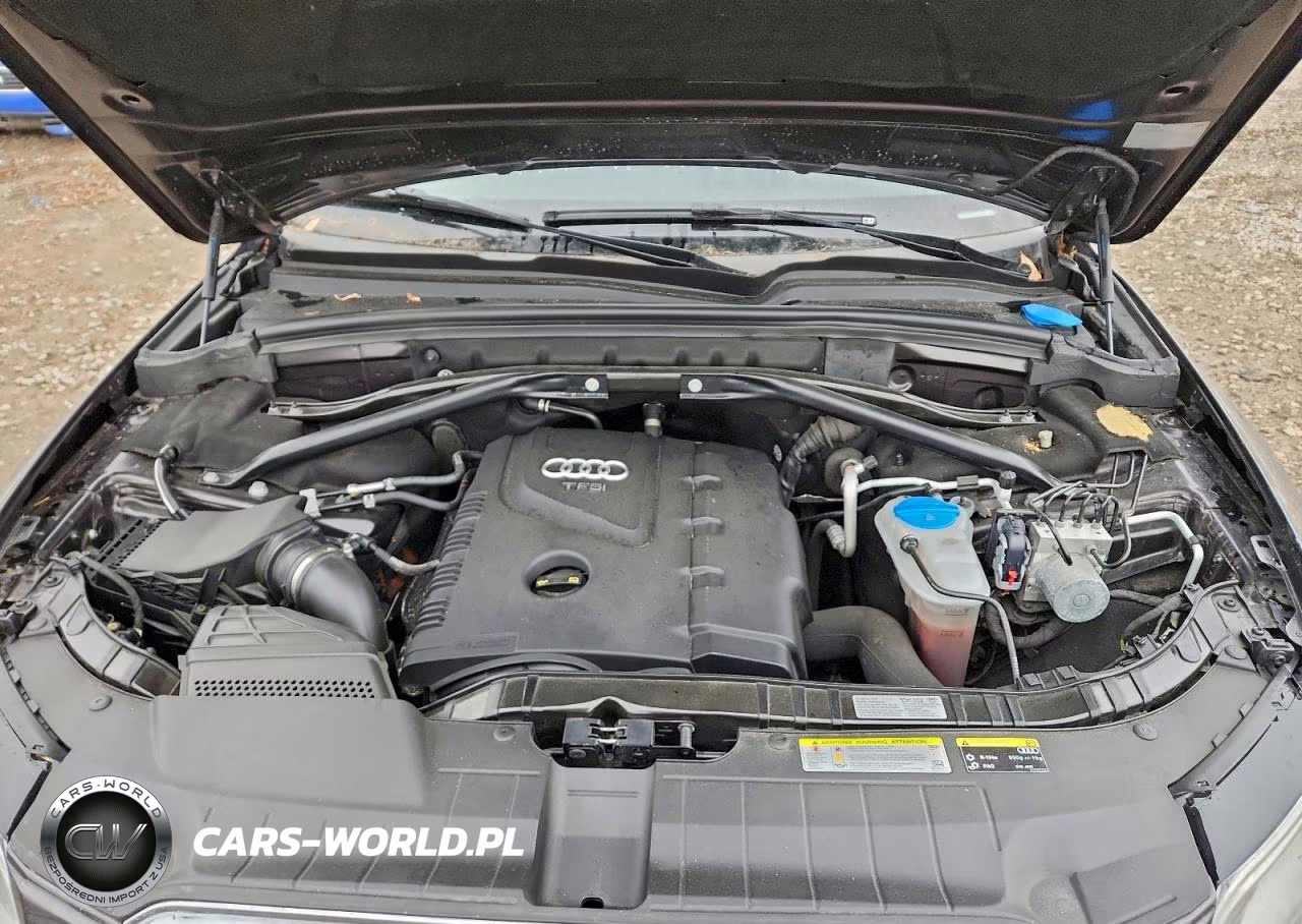 2014 Audi Q5 Premium Plus VIN:WA1LFAFP9EA100194 - 11