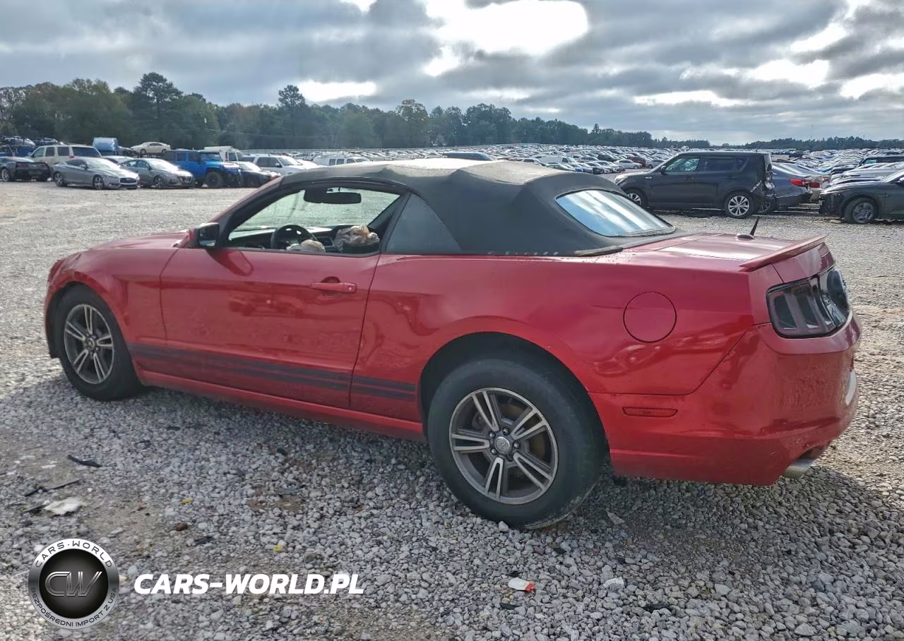 2013 Ford Mustang VIN:1ZVBP8EM9D5204459 - 2