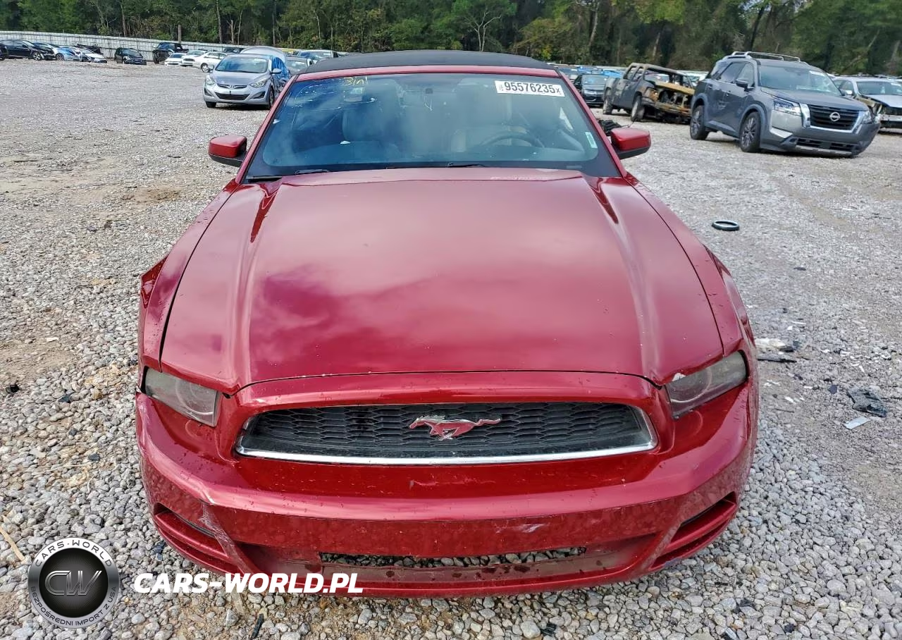 2013 Ford Mustang VIN:1ZVBP8EM9D5204459 - 5