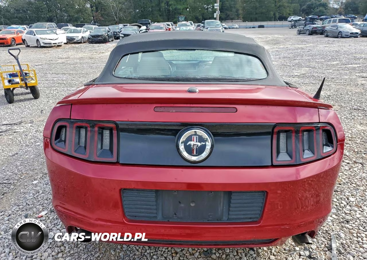 2013 Ford Mustang VIN:1ZVBP8EM9D5204459 - 6