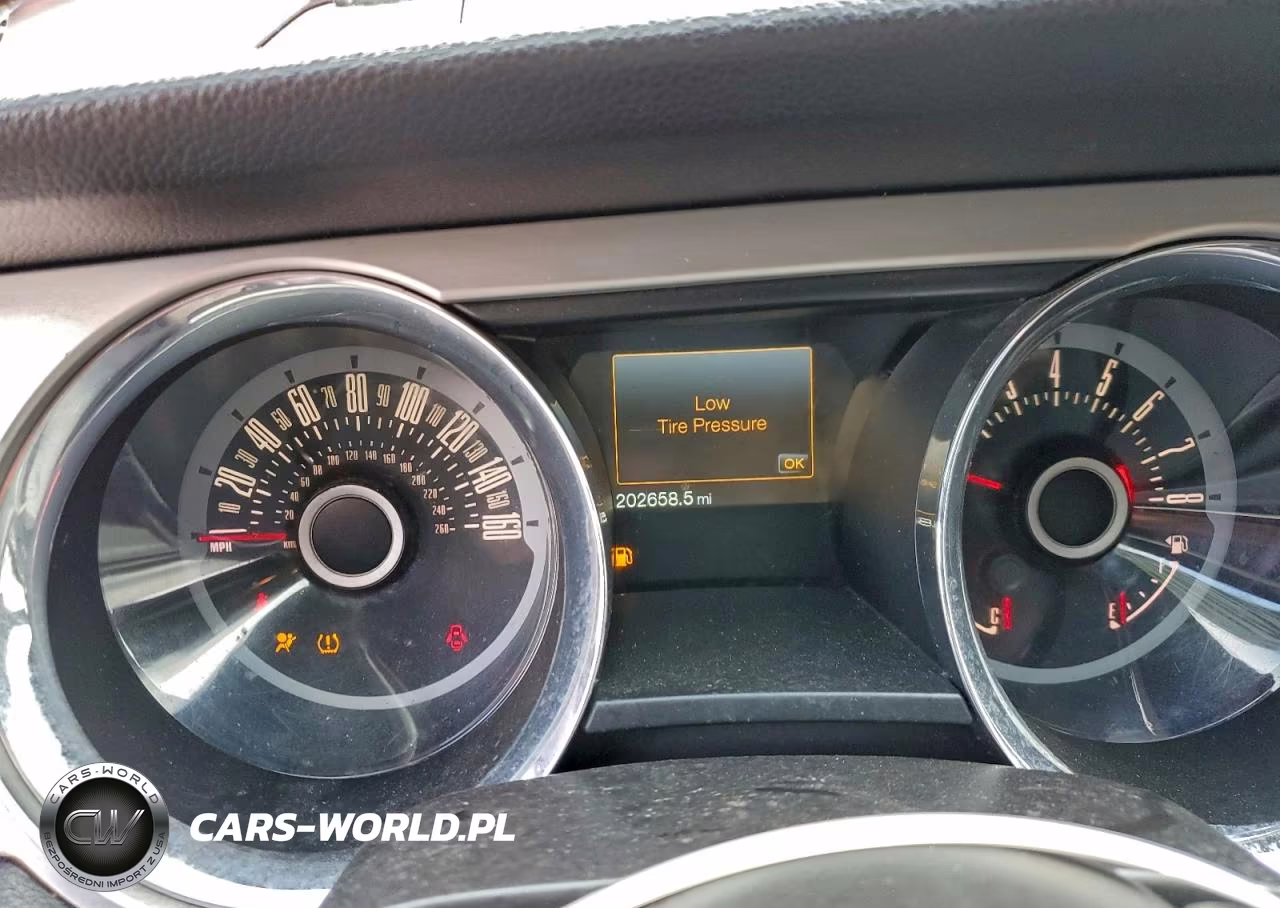 2013 Ford Mustang VIN:1ZVBP8EM9D5204459 - 9