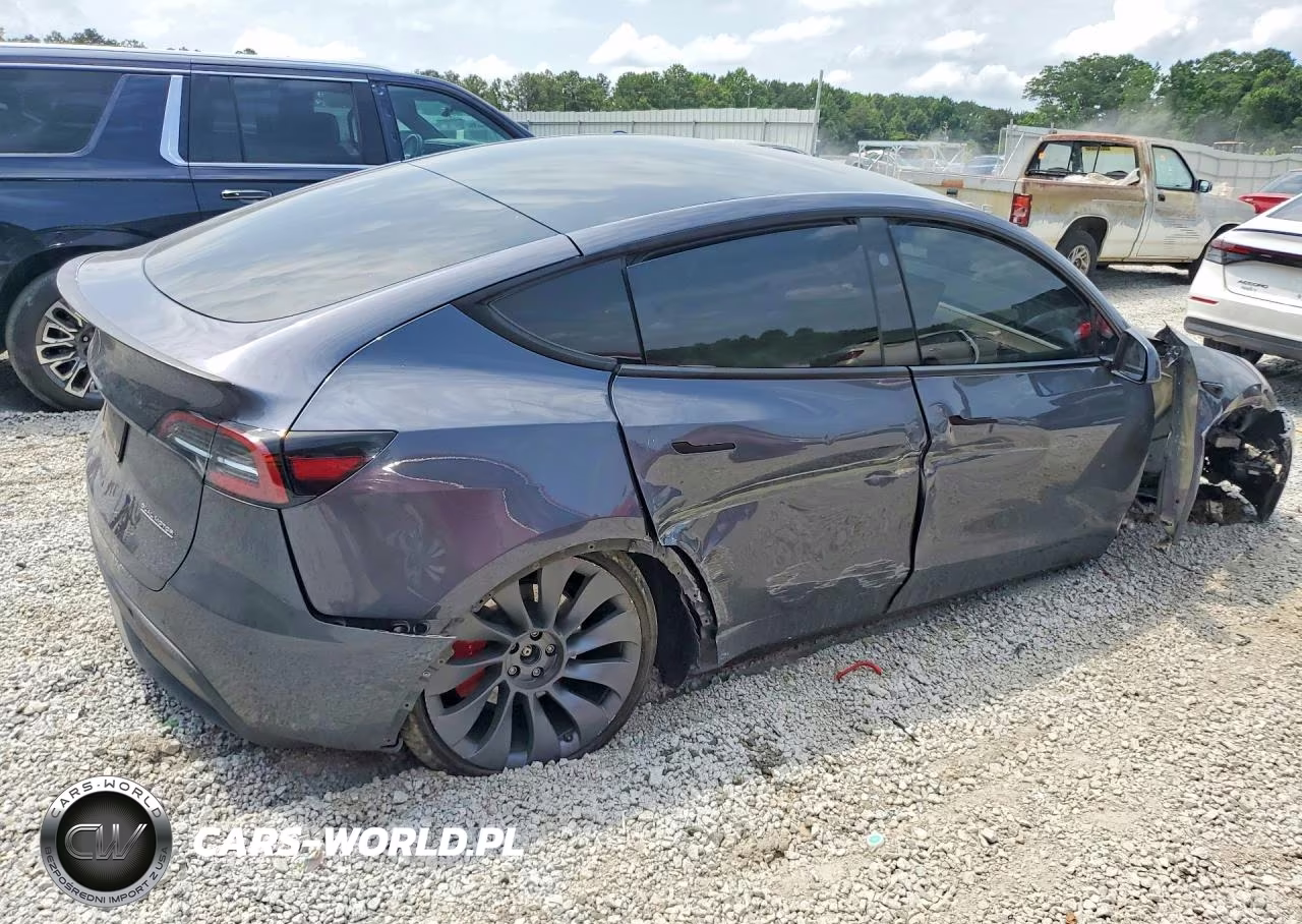 2023 Tesla Model Y VIN:7SAYGDEF8PF894248 - 3