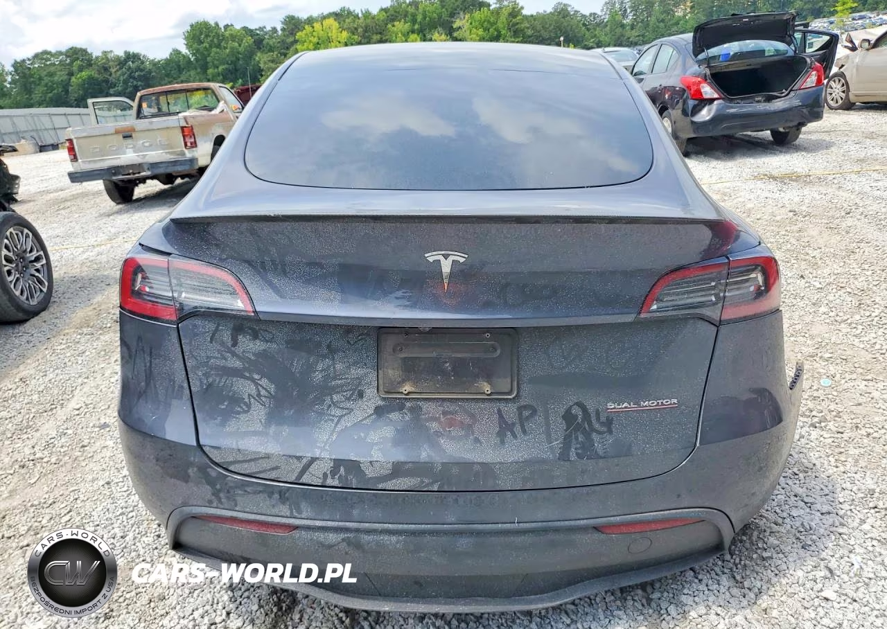 2023 Tesla Model Y VIN:7SAYGDEF8PF894248 - 6