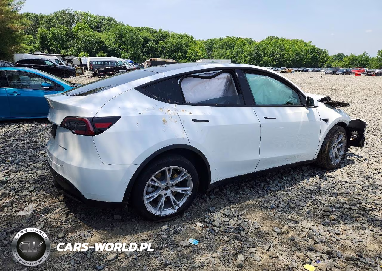 2022 Tesla Model Y VIN:7SAYGDEE9NF317037 - 3