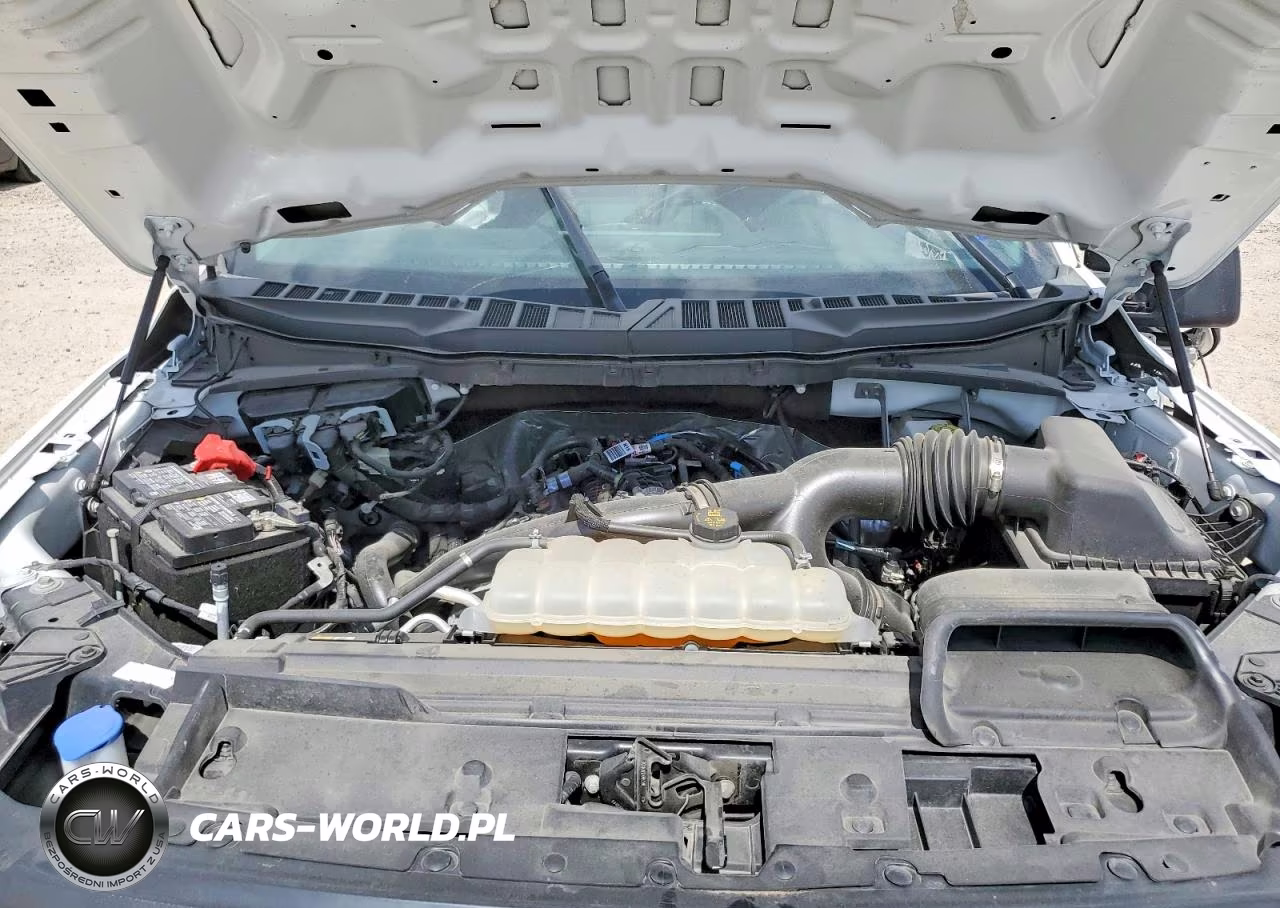 2025 Ford F-150 VIN:1FTEX1KP3SKE53909 - 11