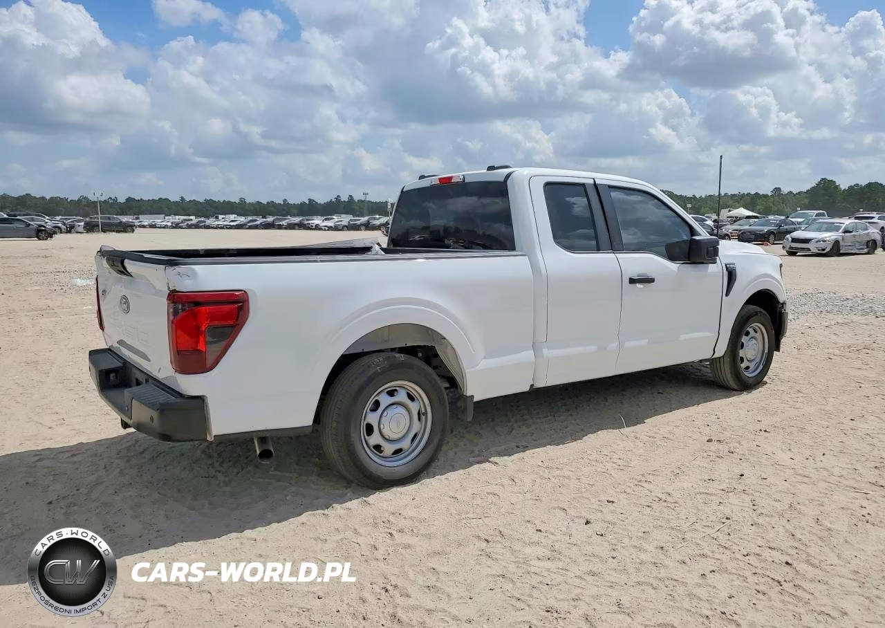 2025 Ford F-150 VIN:1FTEX1KP3SKE53909 - 3