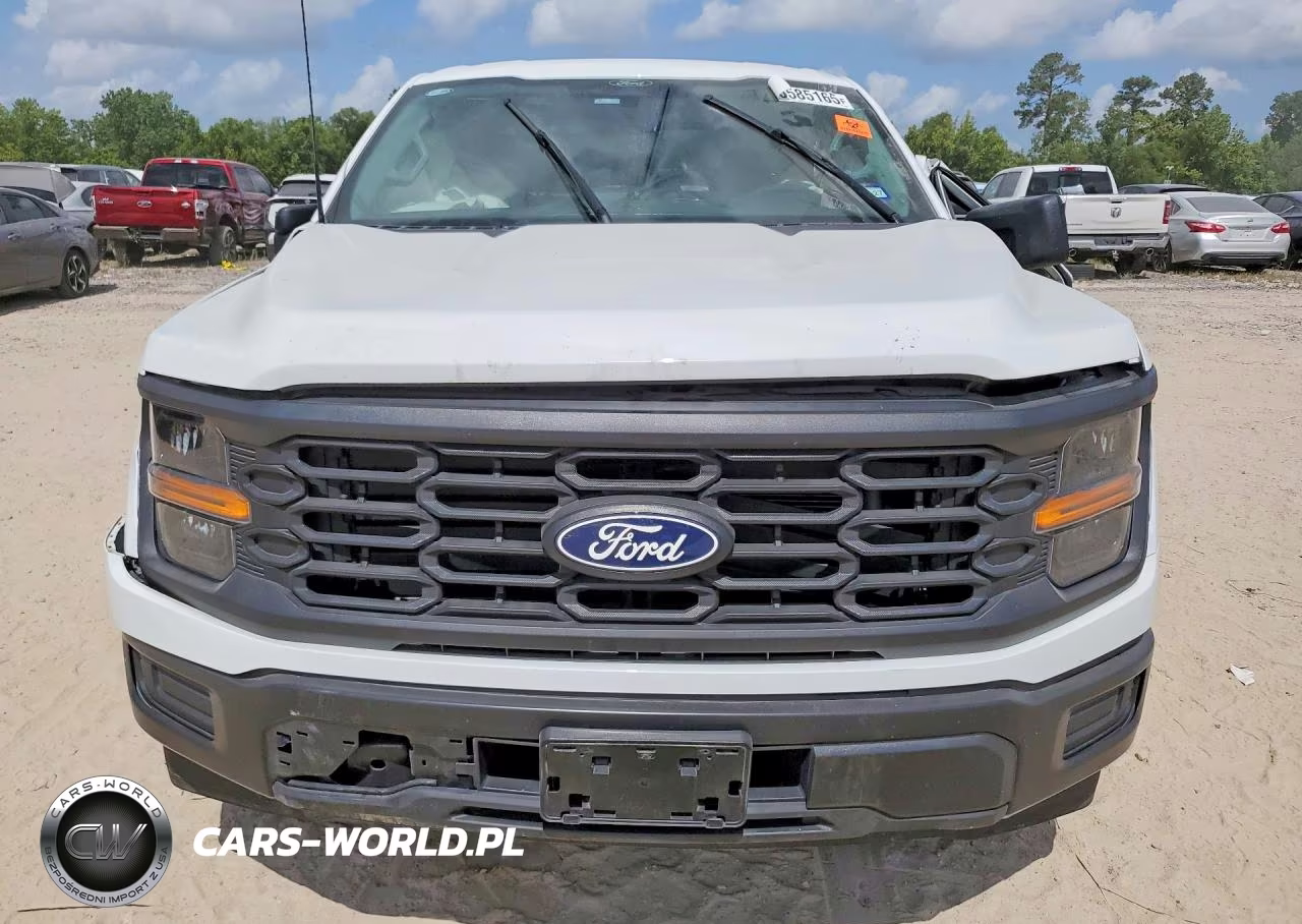 2025 Ford F-150 VIN:1FTEX1KP3SKE53909 - 5