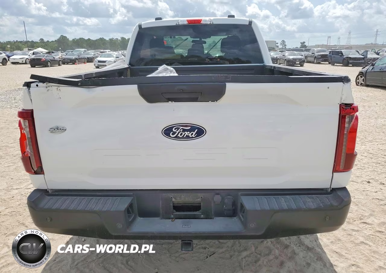2025 Ford F-150 VIN:1FTEX1KP3SKE53909 - 6
