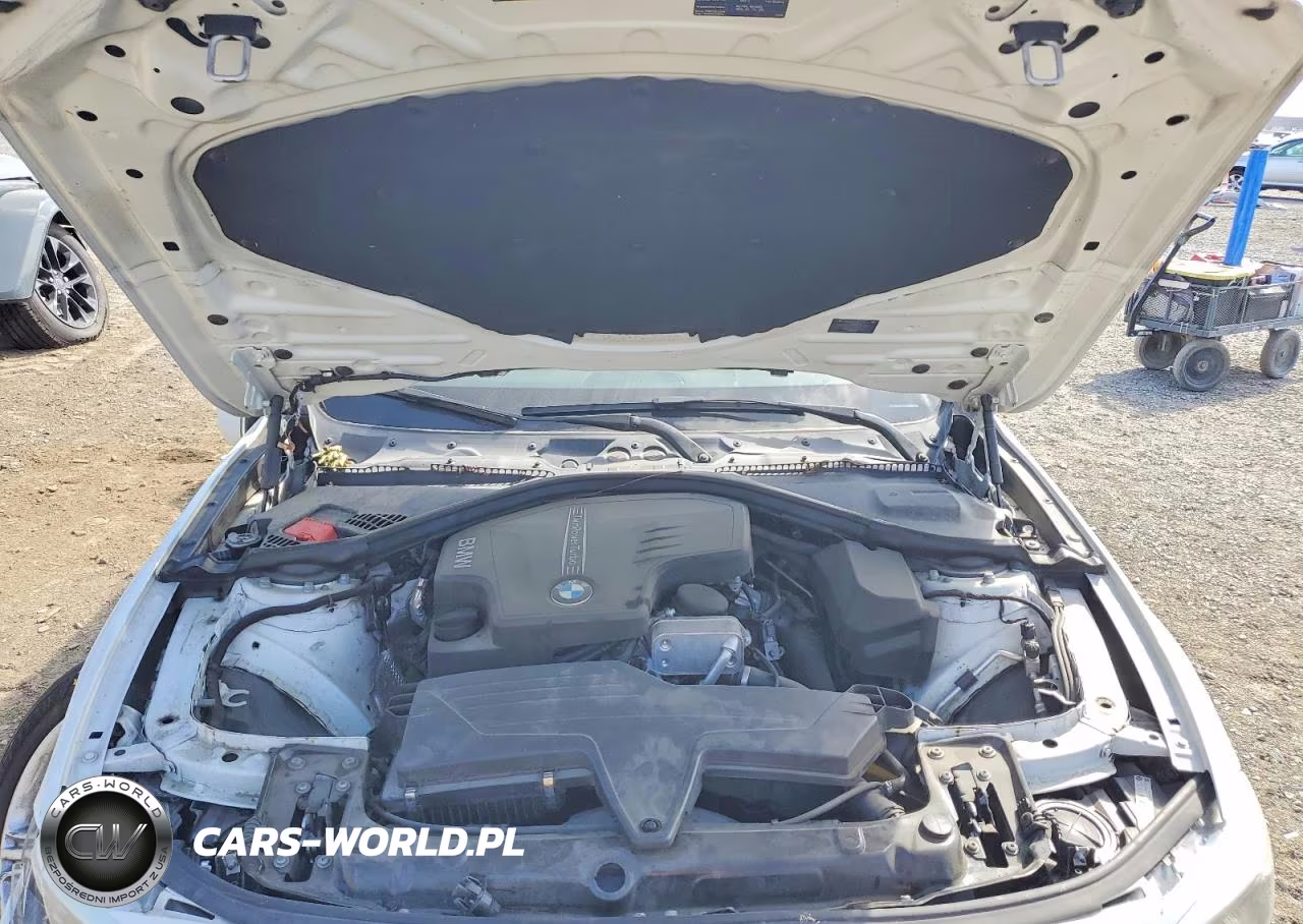 2015 BMW 320 I VIN:WBA3B1G5XFNT63607 - 11