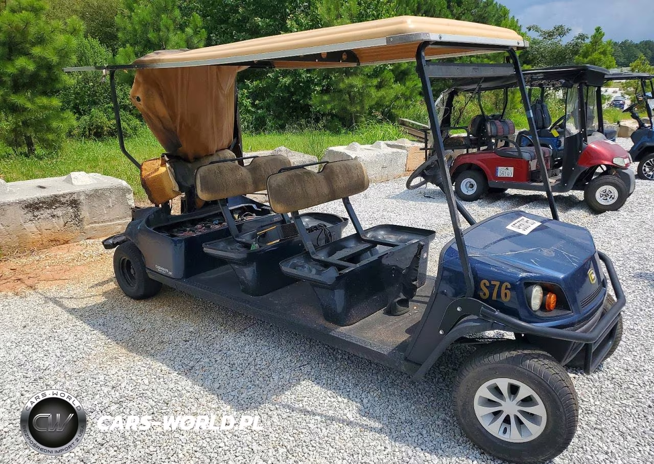 2019 Golf Cart – zdjęcie 1 z 10