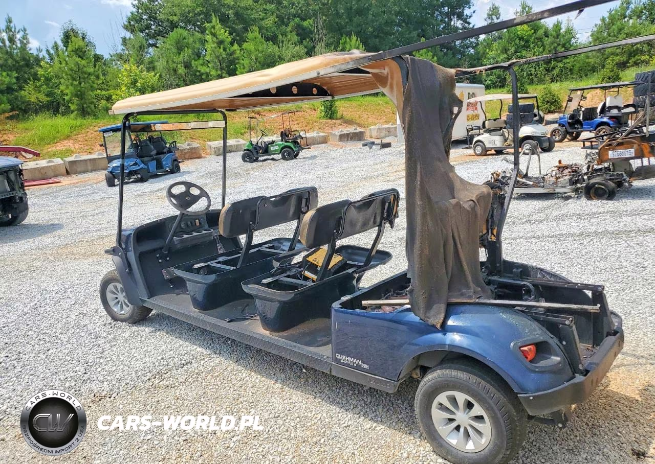 2019 Golf Cart VIN:3433465 - 3