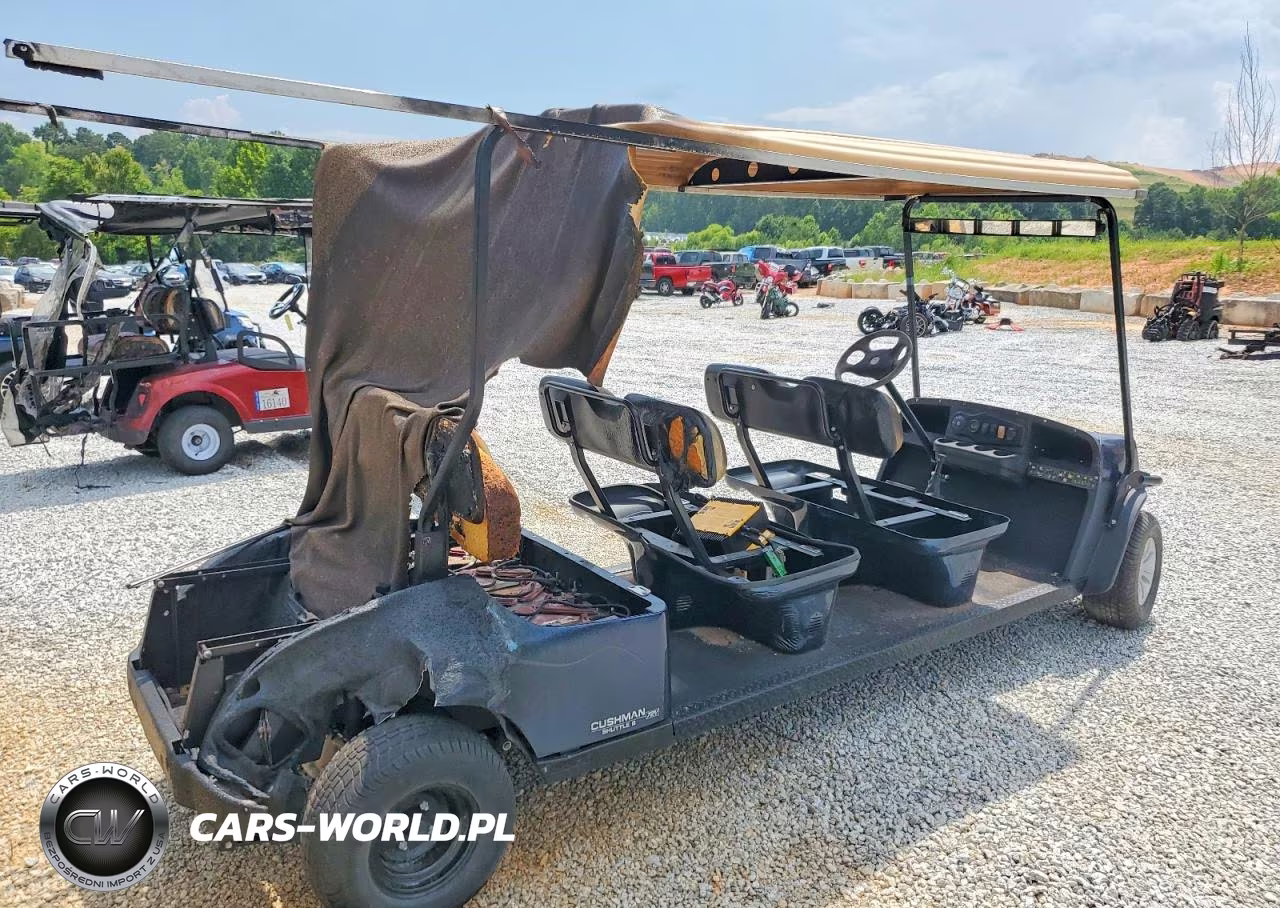 2019 Golf Cart VIN:3433465 - 4