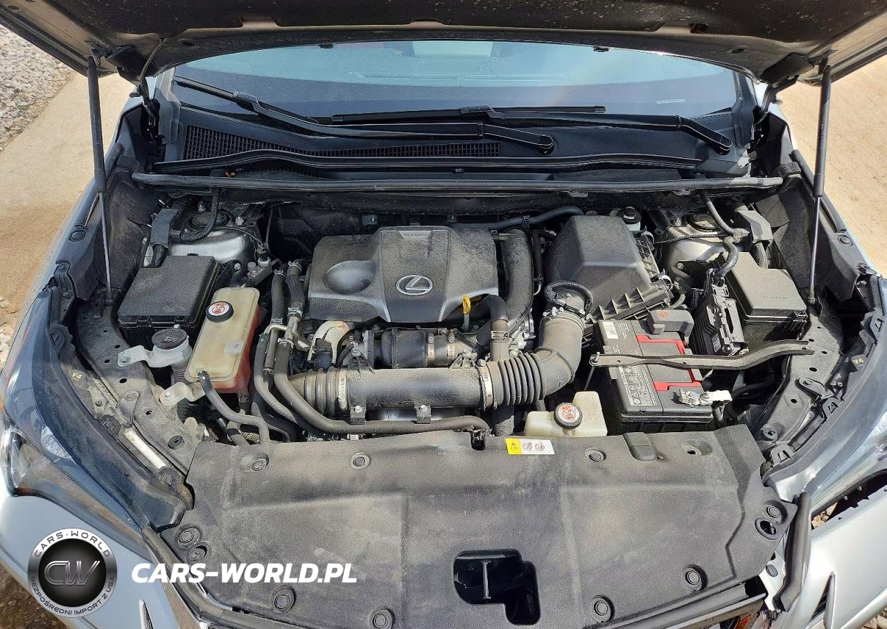 2019 Lexus Nx 300 F Sport VIN:JTJBARBZ5K2191375 - 12