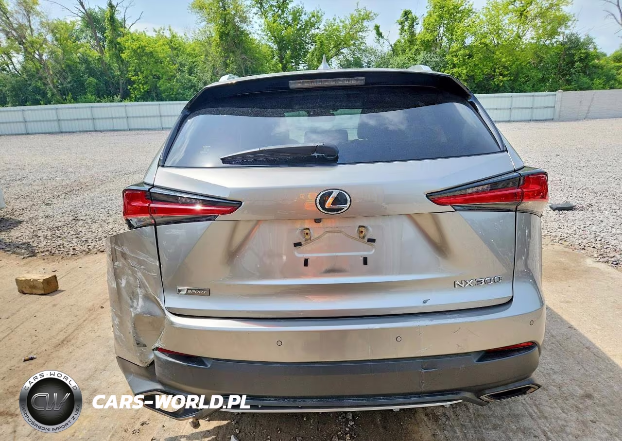 2019 Lexus Nx 300 F Sport VIN:JTJBARBZ5K2191375 - 6