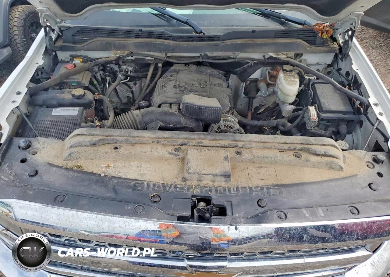 2019 Chevrolet Silverado K2500 VIN:2GC2KREG5K1234865 - 11