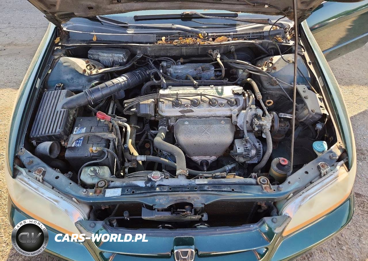 2000 Honda Accord Lx VIN:1HGCG6658YA123650 - 11