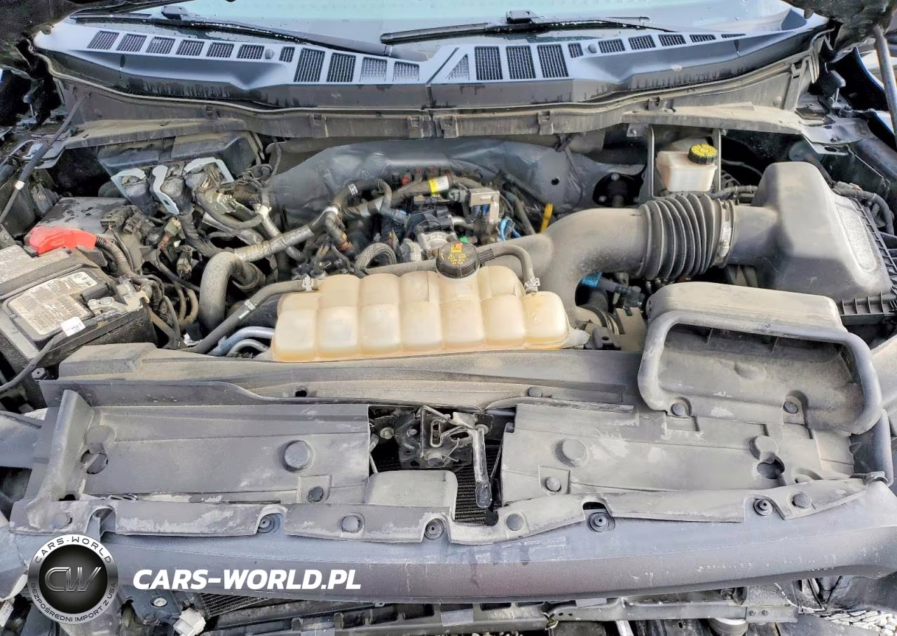 2021 Ford F150 Supercrew VIN:1FTEW1CP4MFA99041 - 11