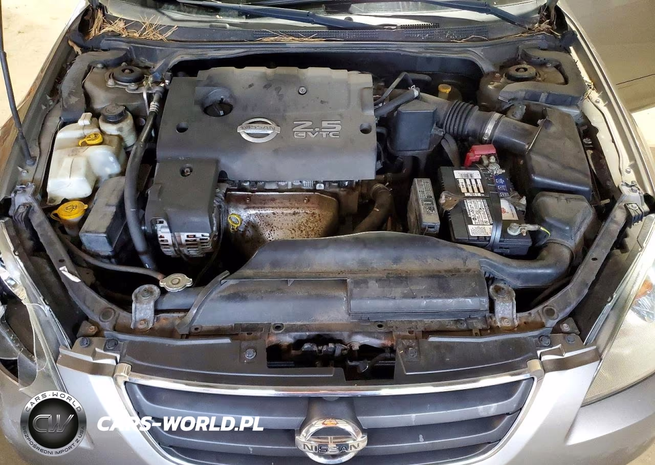 2002 Nissan Altima 2.5 VIN:1N4AL11D22C184531 - 11