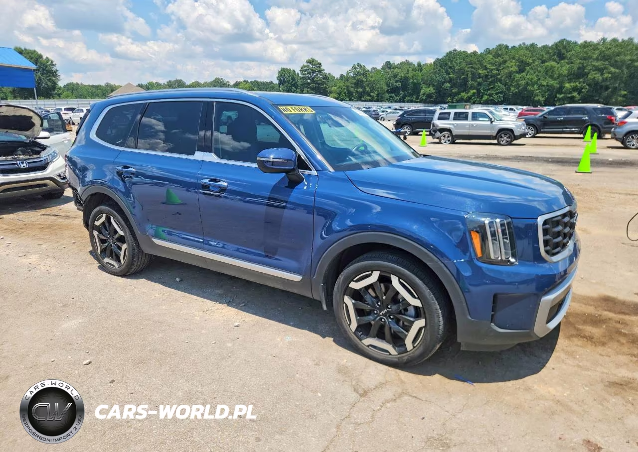 2024 Kia Telluride S VIN:5XYP6DGC5RG443143 - 4