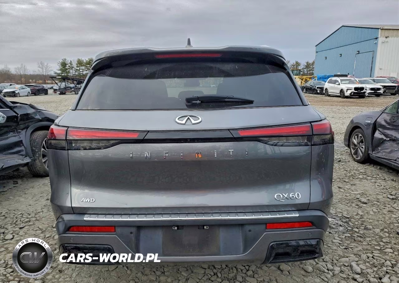 2023 Infiniti Qx60 Luxe VIN:5N1DL1FS8PC353193 - 6