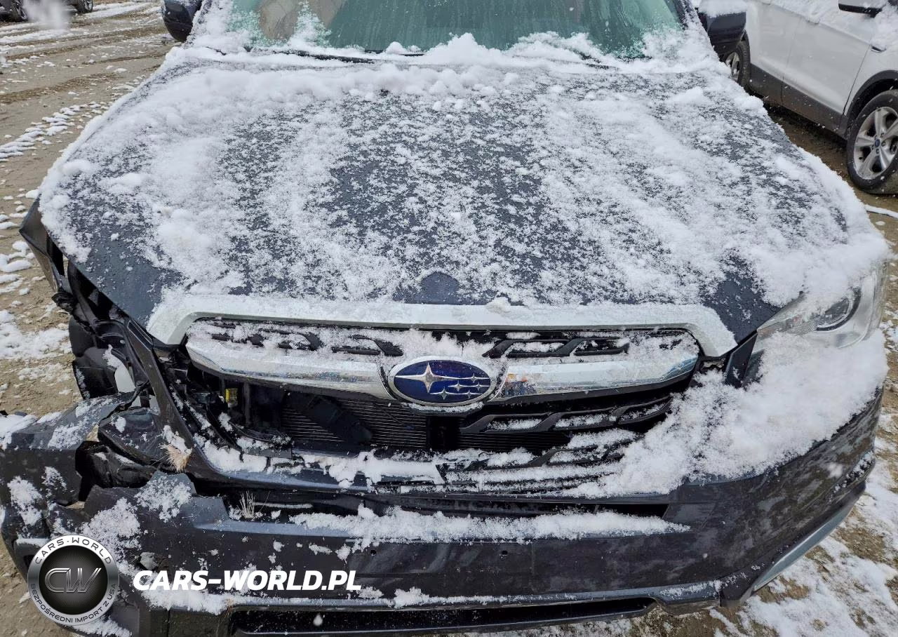 2017 Subaru Forester 2.5I Limited VIN:JF2SJARC1HH572413 - 12
