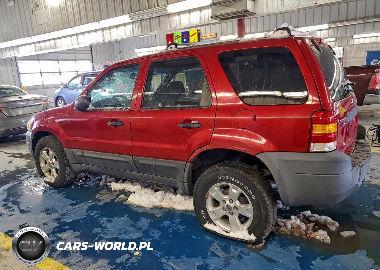 2007 Ford Escape VIN:1FMYU03Z37KA30587 - 2