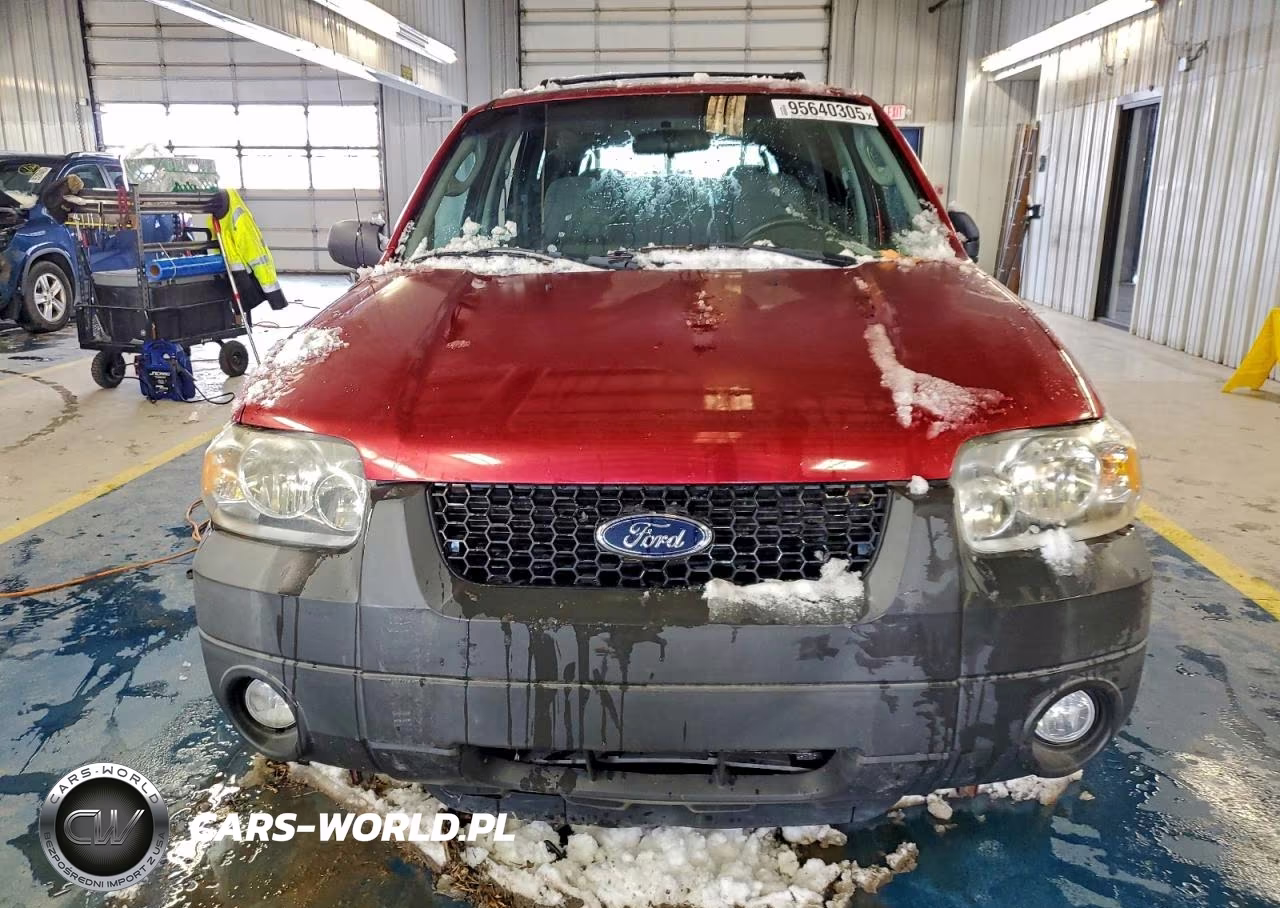 2007 Ford Escape VIN:1FMYU03Z37KA30587 - 5