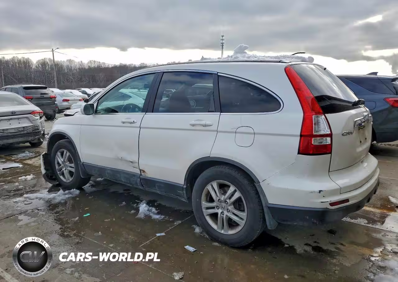 2010 Honda Cr-V Exl VIN:5J6RE4H71AL014372 - 2