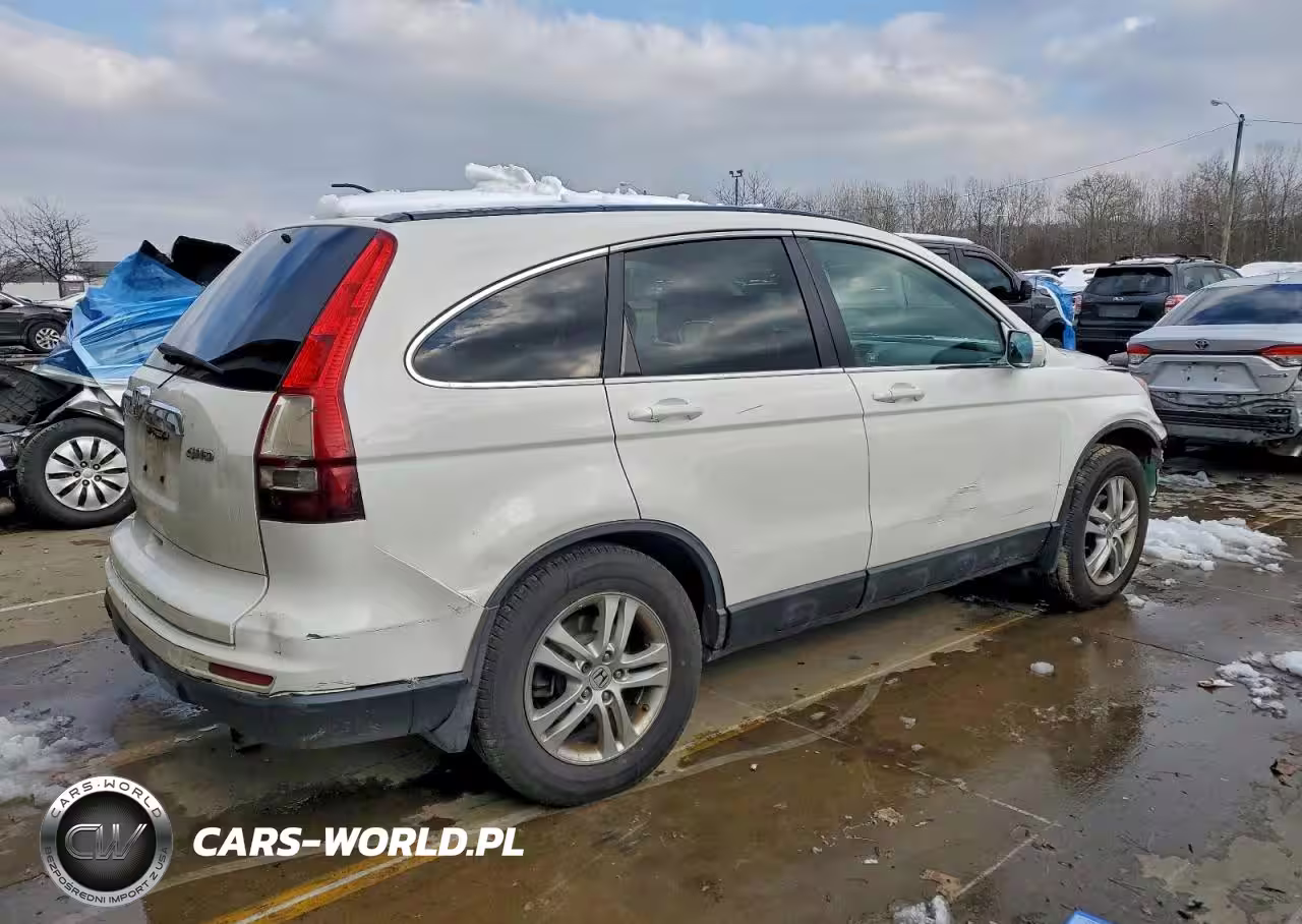 2010 Honda Cr-V Exl VIN:5J6RE4H71AL014372 - 3