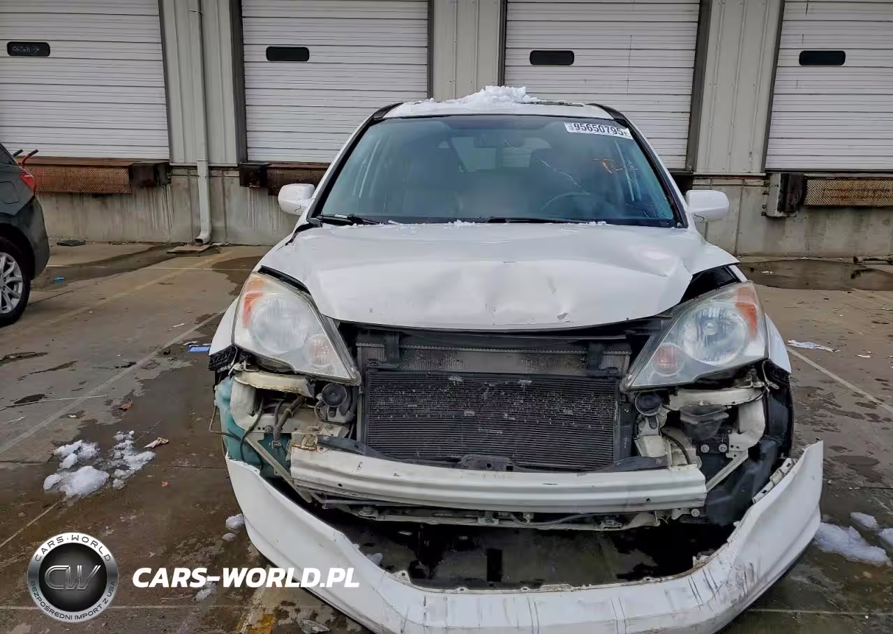 2010 Honda Cr-V Exl VIN:5J6RE4H71AL014372 - 5
