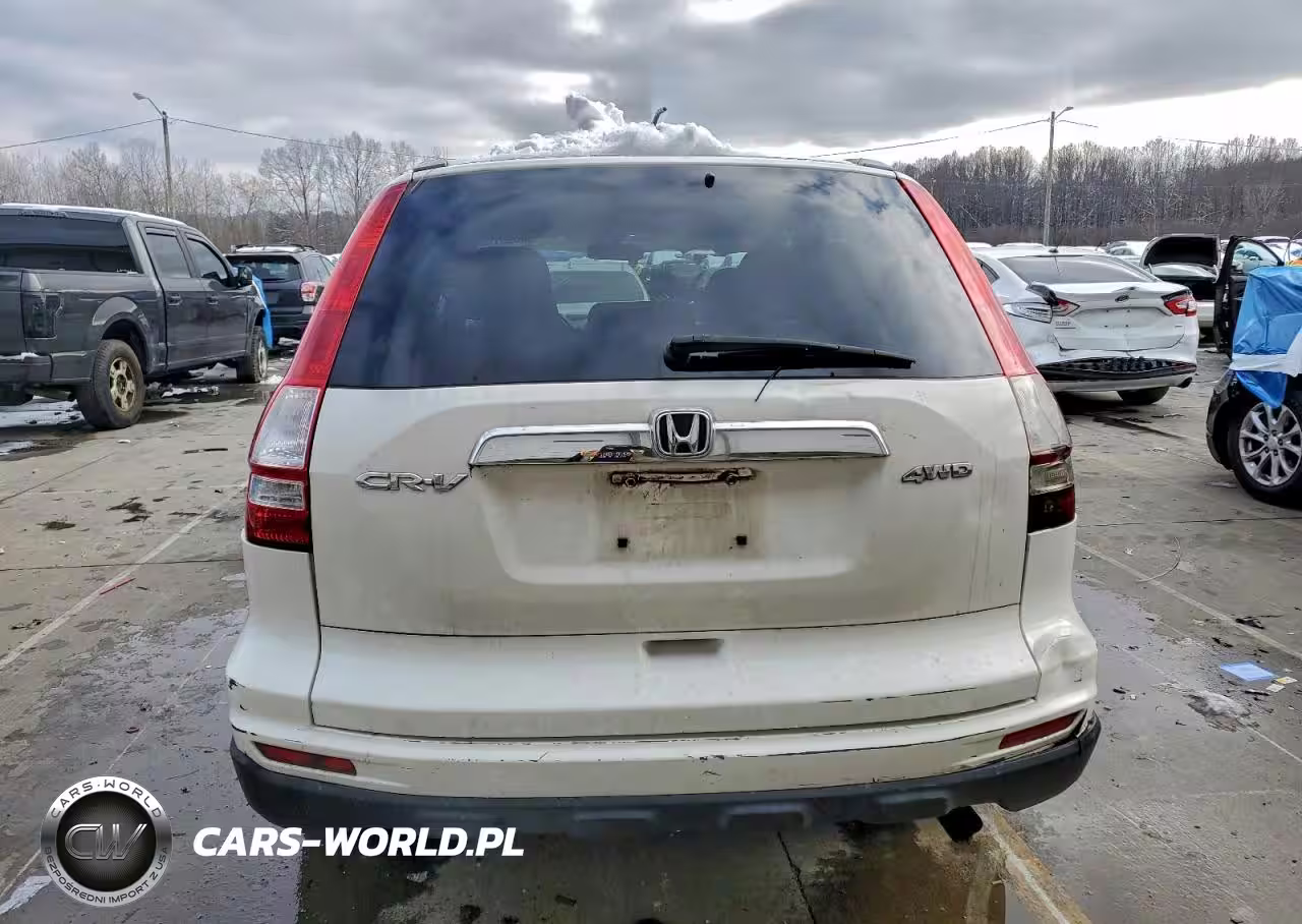 2010 Honda Cr-V Exl VIN:5J6RE4H71AL014372 - 6