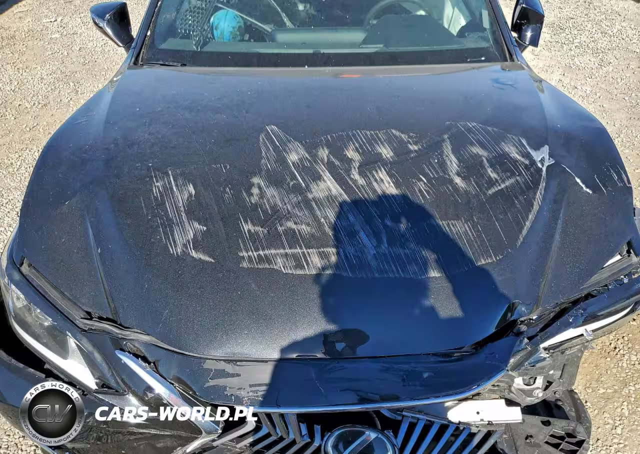 2019 Lexus Es 350 VIN:58ABZ1B16KU045311 - 11