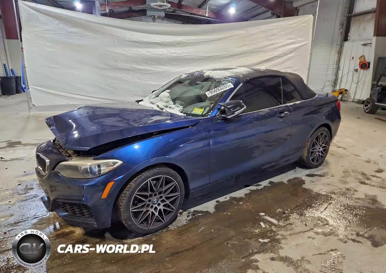 2016 BMW 228 Xi Sulev