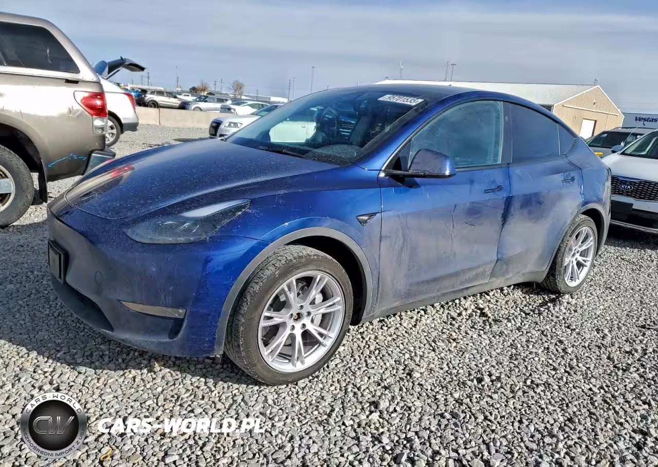 2024 Tesla Model Y