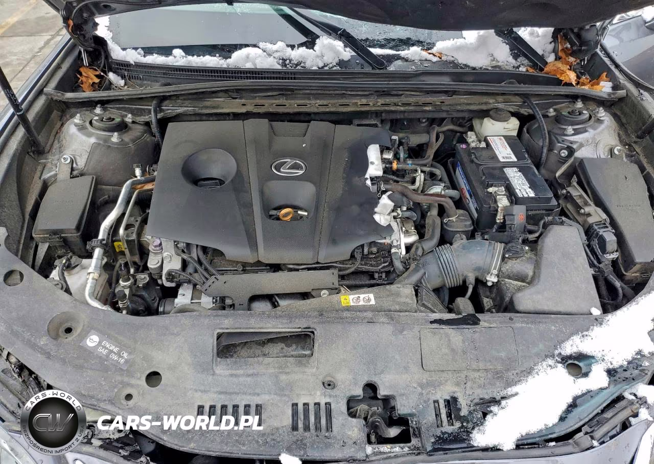 2021 Lexus Es 250 VIN:58AD11D16MU002023 - 11