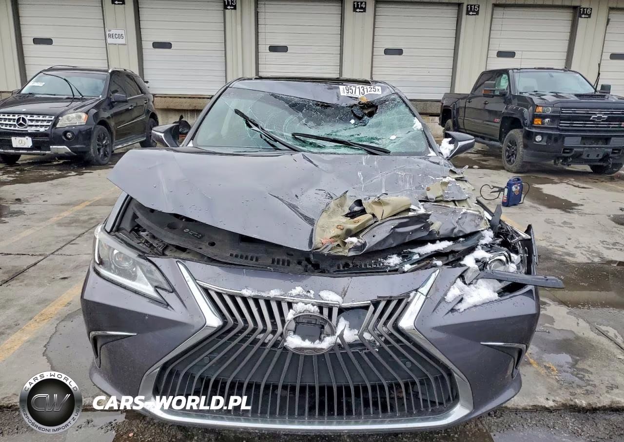 2021 Lexus Es 250 VIN:58AD11D16MU002023 - 5